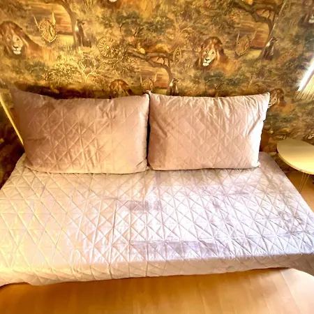 Стаи За Гости На Централно Място В София С Обслужване Homestay
